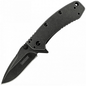 Карманный нож Kershaw Cryo Drop Point A/O 1555BW