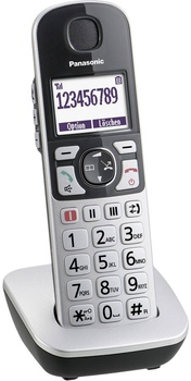 IP-телефон Panasonic VoIP Silver (KX-TGQ500GS)