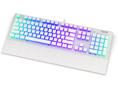 Клавіатура ENDORFY Omnis OWH P. Kailh BR RGB (EY5A035)
