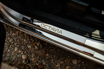 Накладки на пороги Carmos V1 (8 шт., нерж.) для Skoda Octavia III A7 2013-2019 рр
