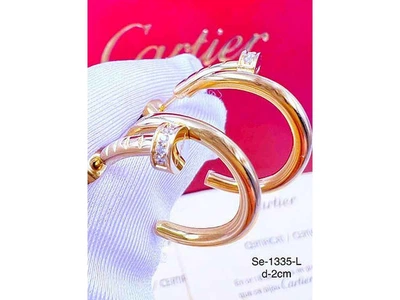 Сережки Stainlees Steel 1 335