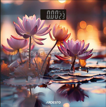 Ваги Ardesto підлогові LOTUS, 150кг, AAAx2 в комплекті, скло, багатокольорові (SCB-965LOTUS)