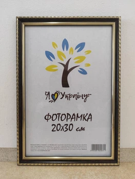 Фоторамка 20Х30, коричневая с золотим обрамлением, 1715-х048, СКЛО +КАРТОН
