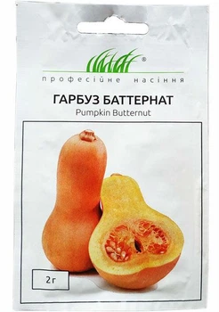 Насіння гарбуза Баттернат 2 г Anseme