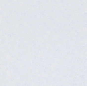Бумажные обои Rasch Piccolo 271256