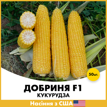 Кукуруза Lark Seeds Добрыня F1, 50 шт