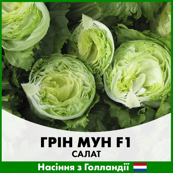 Салат айсберг Hazera Грин Мун F1, 20 шт