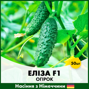 Огурец Satimex Элиза F1, 50 шт