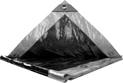 Тент Mastertool 2 х 3 м двусторонний 200г/м2 Silver-Black (89-5203)