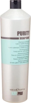 Шампунь от перхоти Kay Pro Scalp Care Shampoo 1000 мл