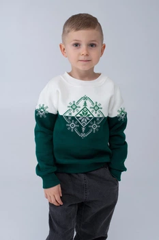 Різдвяний світшот для хлопчика Сніжинка Зелений 122 UKRS-6642Х UkrGlamour