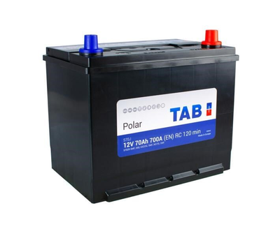 Аккумулятор TAB (246870)