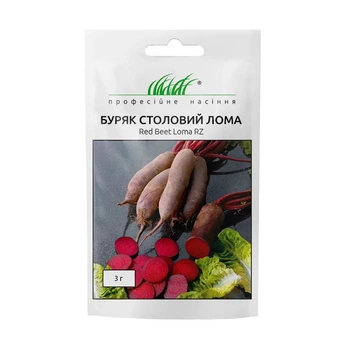 Семена свеклы столовой Лома, 3 г , Rijk Zwaan, Голландия, Професійне насіння