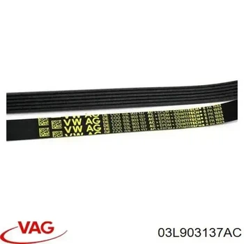 6pk1553 Ремень поликлиновый VAG 03L903137AC VAG (03L903137AC)