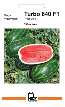 Насіння кавуна Турбо 840 F1 , Nunhems, 10 шт.