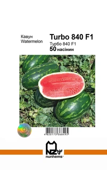 Семена арбуза Турбо 840 F1, Nunhems, 50 шт.