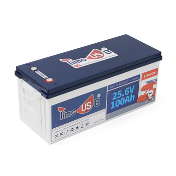 Аккумуляторная батарея LiFePO4 Timeusb 24V 100Ah, 2560Wh, BMS 100A, 532*207*216мм