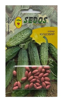 Насіння Огірок Кущовий 25шт, Sedos