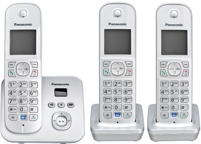 Телефон стаціонарний Panasonic Trio Silver (KX-TG6823GS)