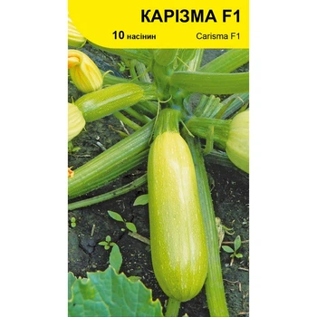 Семена кабачка Каризма F1, Syngenta, 10 шт.