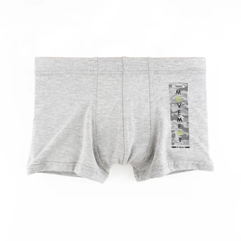 Чоловічі труси-боксери з принтом Dexter`s XXL Світло-сірий (d4001-4-1-xxl)