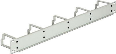 Panel zarządzania kablami Delock dla szafy sieciowej 19" 1U (4043619421169)