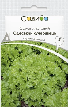 Насіння салату листового Одеський кучерявець, 2 г, Садиба