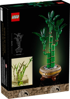 Конструктор LEGO Botanicals Драцена сандера 325 елементів (10344)