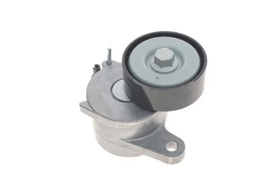 Натяжитель ремня SKF (VKM31130)