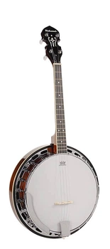 Банджо Richwood RMB-604-SS