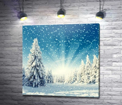 Картина Заснеженный лес в лучах яркой зари 60x60 см Модуль №1 (004413)