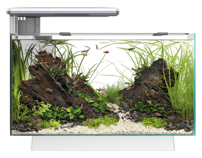 Акваріумний набір SuperFish Quadro 40 Pro White (A4052200)