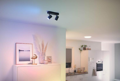 Світильник WiZ точковий накладний розумний IMAGEO Spots, 2х5W, 2200-6500K, RGB, Wi-Fi, чорний (929002659101)