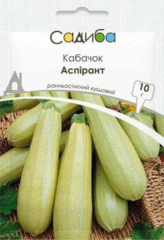 Насіння кабачка Аспірант, 10 г, Садиба