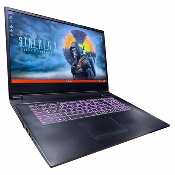 Игровой ноутбук Clevo NH70RD/ 17.3" FullHD, IPS 144 Гц/ Intel Core i7 9750H (6 ядер/ 12 потоков)/ NVIDIA GeForce RTX 2060 (на 6 GB)/ 16 GB/ 500 GB SSD + 1 TB HDD (Б/У)