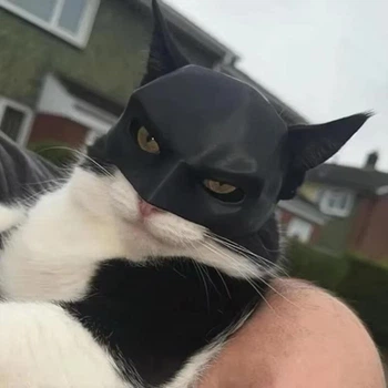Маска для кота (бетмен)