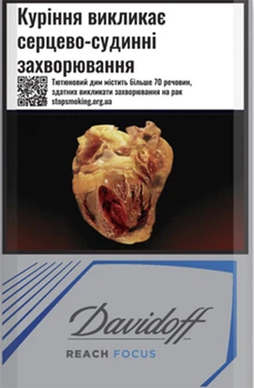 Блок сигарет Davidoff Reach Focus Silver х 10 пачек (4820000366502)