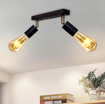 Светильник в стиле лофт с поворотным механизмом MSK Electric Asket NL 1222-2