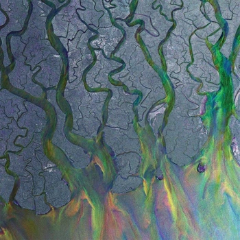 Вінілова платівка Alt-J - An Awesome Wave (White vinyl) 1lp