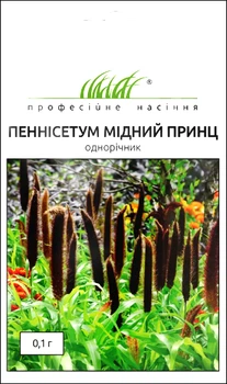 Насіння Пеннісетум Мідний принц (просо декоративне), 0,1 г (Pan American)