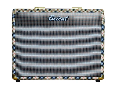 Комбопідсилювач для акустичних інструментів Belcat Acoustic 25C