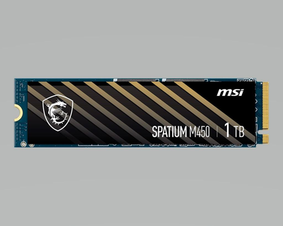 Накопичувач SSD M.2 NVMe 1TB MSI Spartium M450 Phison E19 3D TLC 3600/3000 MB/s (S78-440L980-P83)