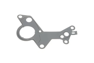 Прокладка насоса тандемного (вакуумно-топливного) VW T5/Caddy 1.9TDI 03- Vika 11450886501