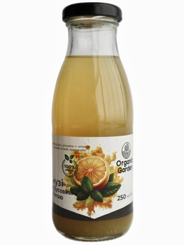 Смузі цитрусовий з м'ятою Organic garden 250 мл