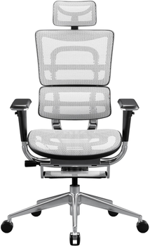 Крісло офісне ергономічне Diablo Chairs V-Master Black-White (5904405577172)