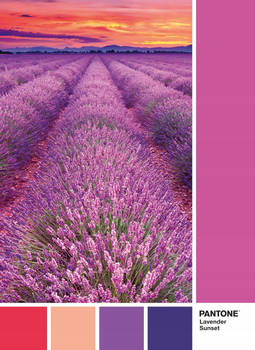 Puzzle Clementoni Pantone Lavender Sunset 1000 elementów (8005125394937)