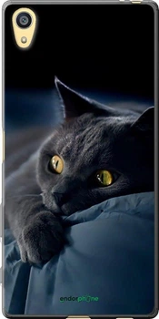 Чехол на Sony Xperia Z5 E6633 Дымчатый кот "825u-274-70447"