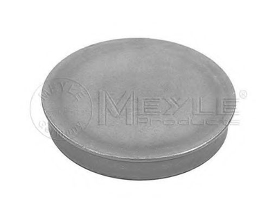 Ковпачок маточини MEYLE 100 752 0006 Meyle (1007520006)
