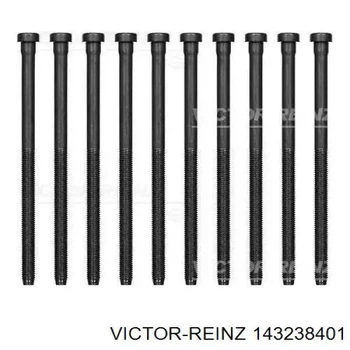Комплект болтів ГБЦ VICTOR REINZ (14-32384-01)