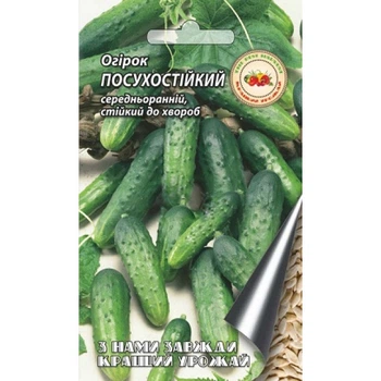 КУГігант Огірок 4г "Посухостійкий" КУ